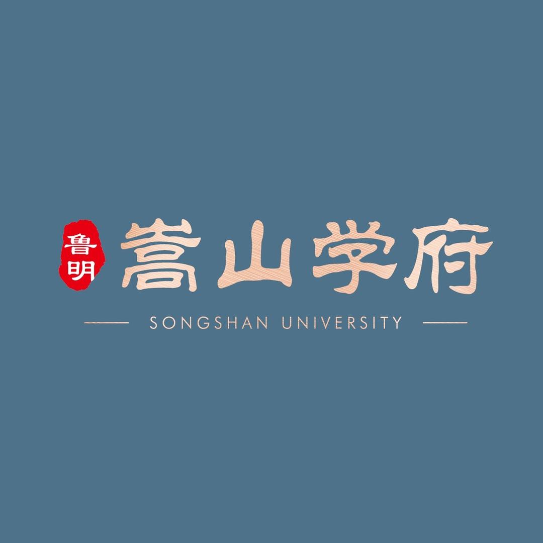 鲁明嵩山学府