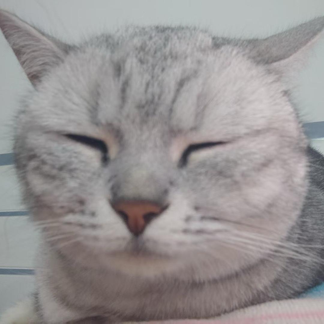 卖女装的小火柴