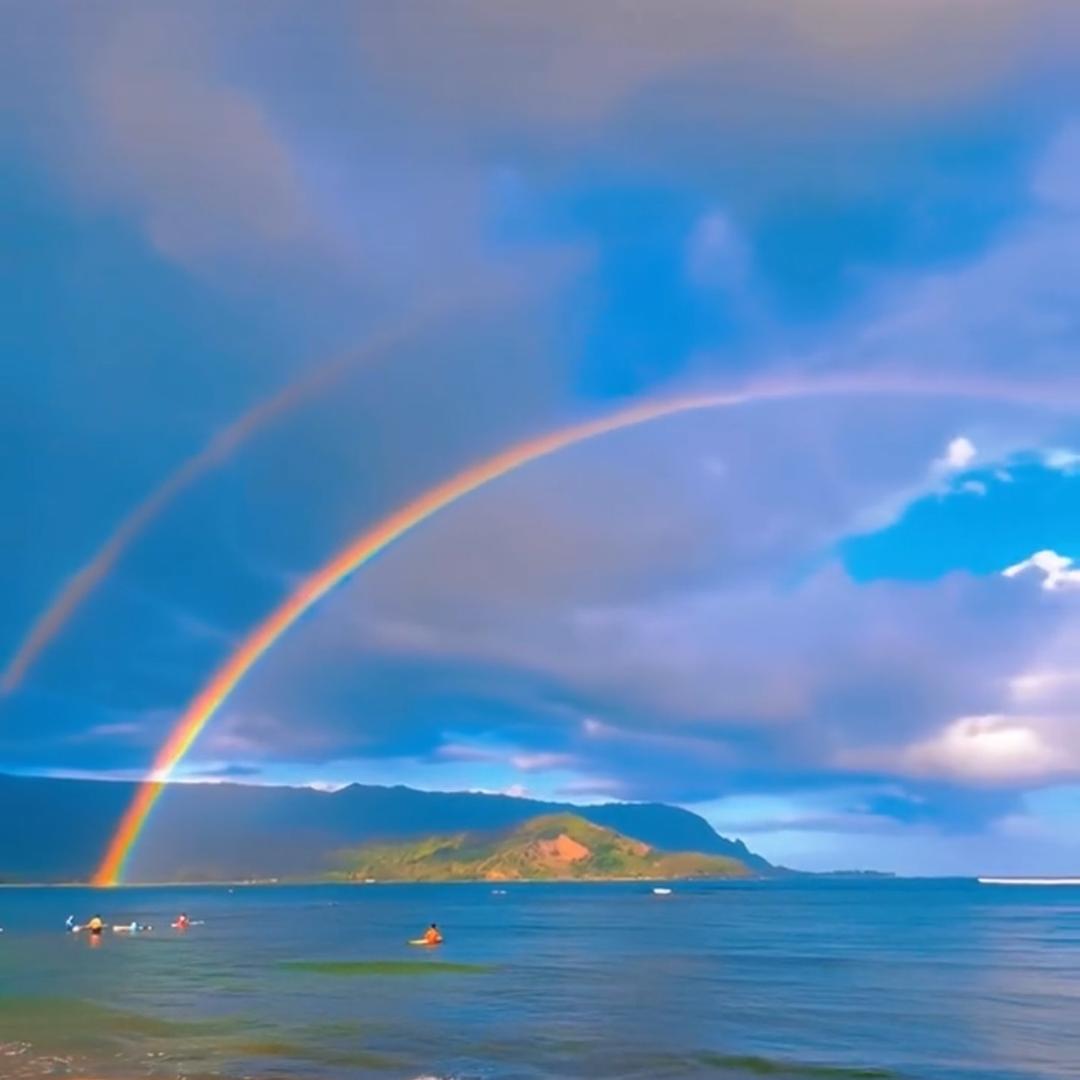 不经历风💦怎能见🌈