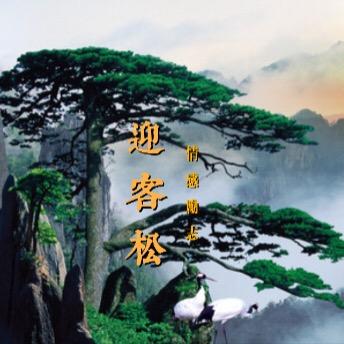 迎客松