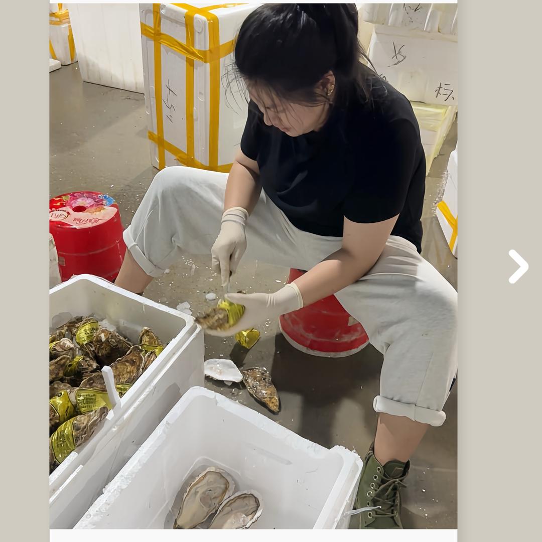 成都生蚝批发♥️李凤玉