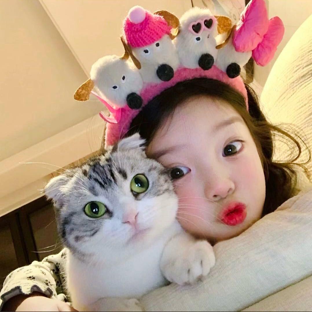 -楊.