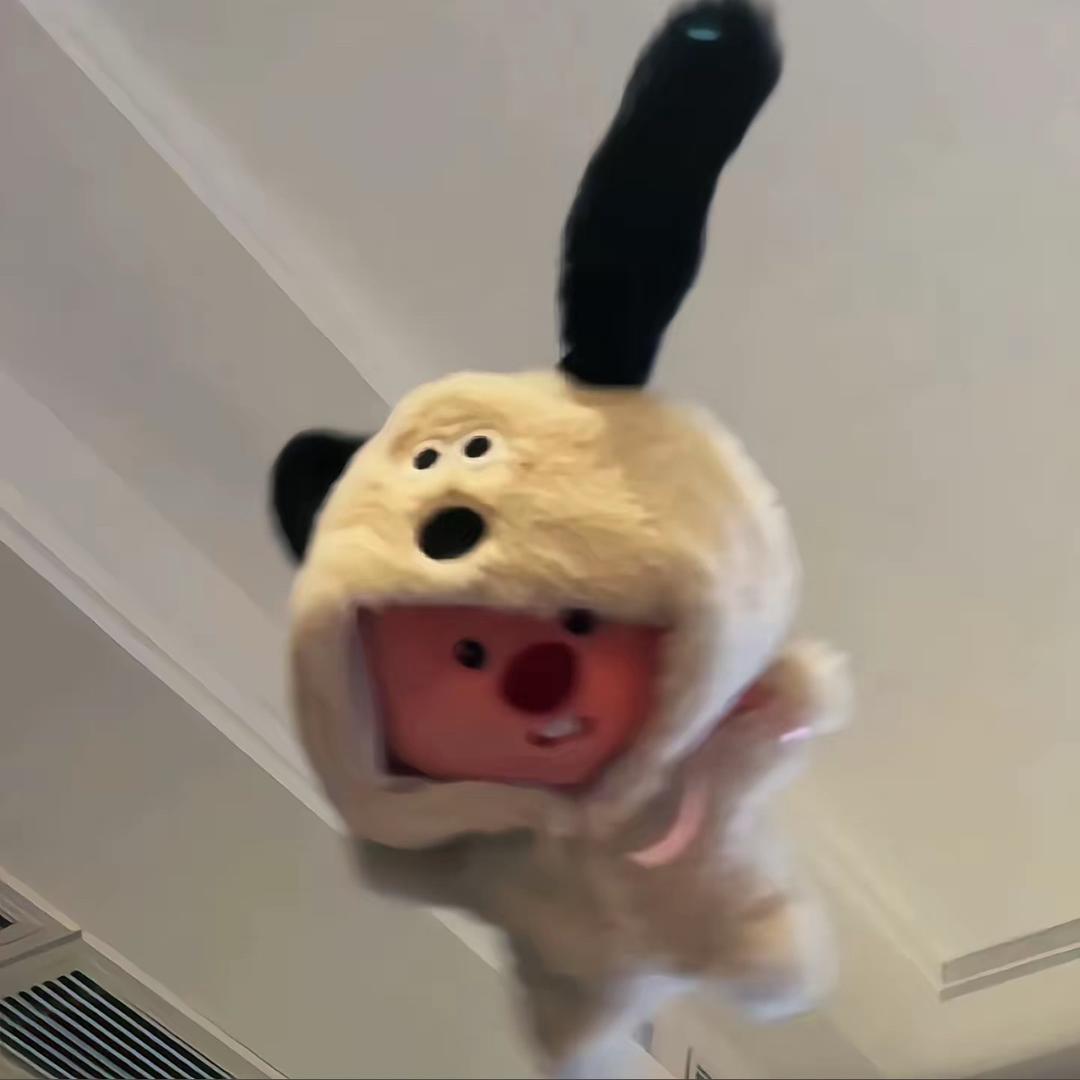 青袖