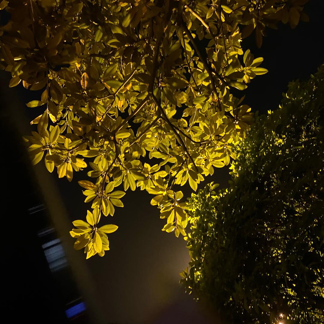 漫漫～