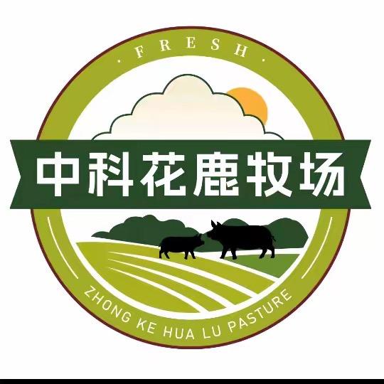 陈家鹿王鹿酒-琪琪