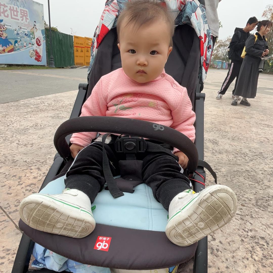 依旧又一年