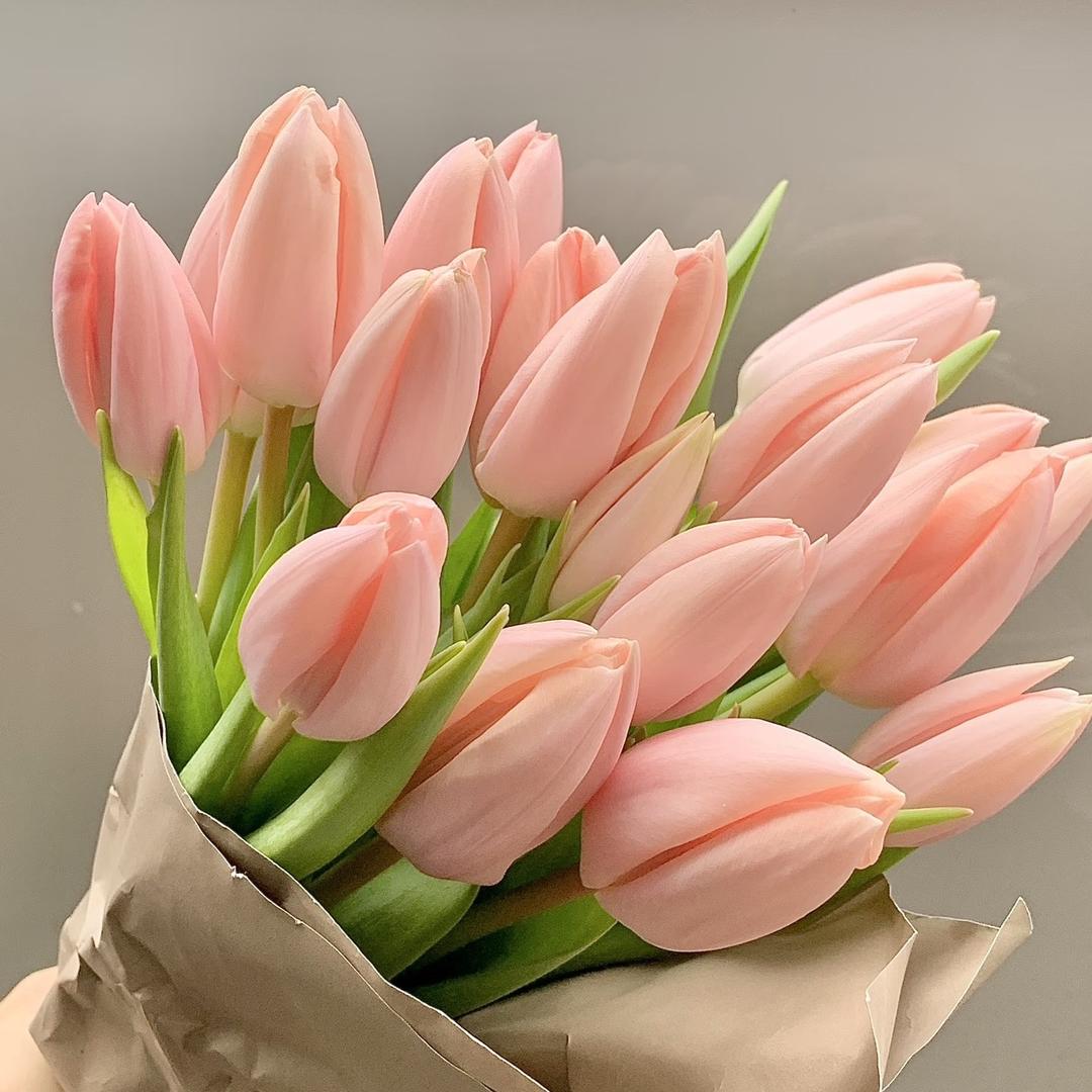 九天玄彩花卉乐园