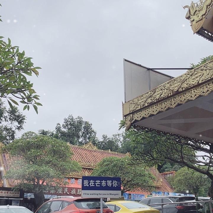 温柔的谎言