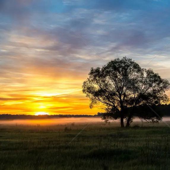 ゞ嘘：【安静】