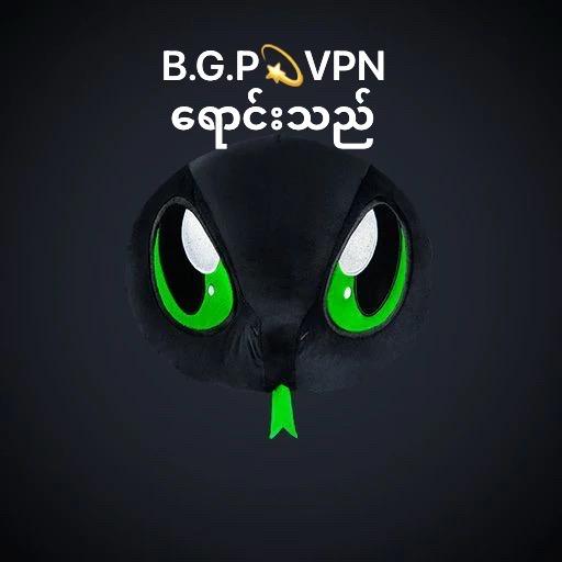 BSS.ဗွီ.p.n