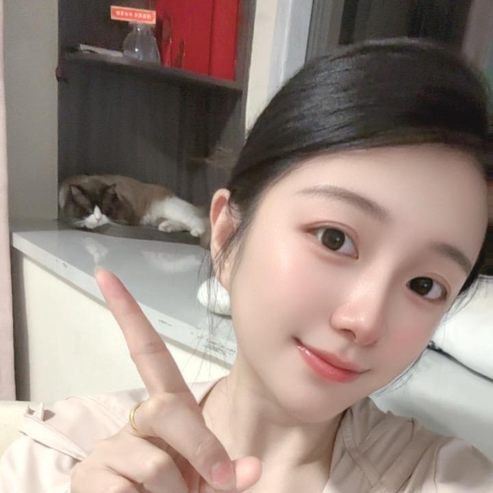 巷子里的猫_