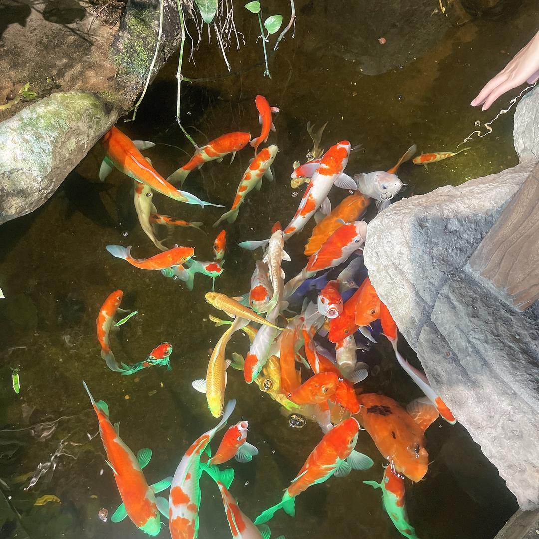 ꧁幸运💞相随꧔ꦿ꧂