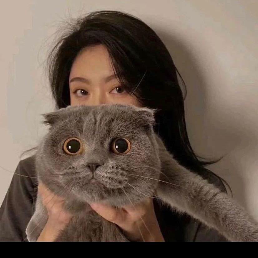 小 苏