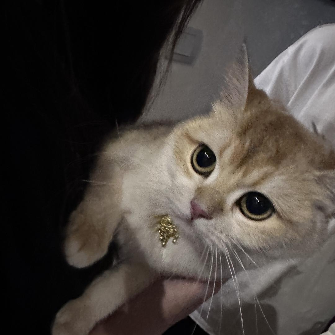 伟火营百货