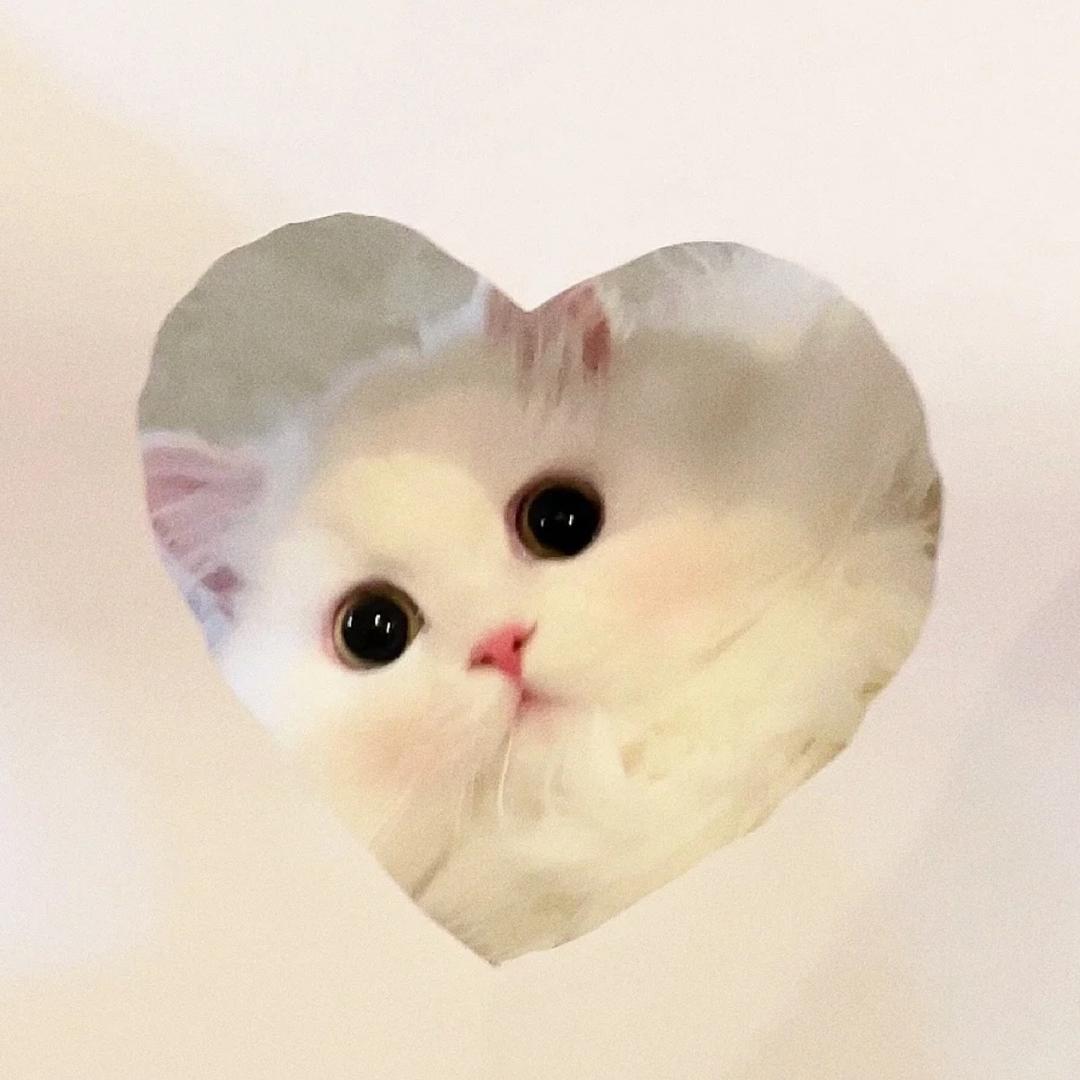 李子要夹੧ᐛ੭