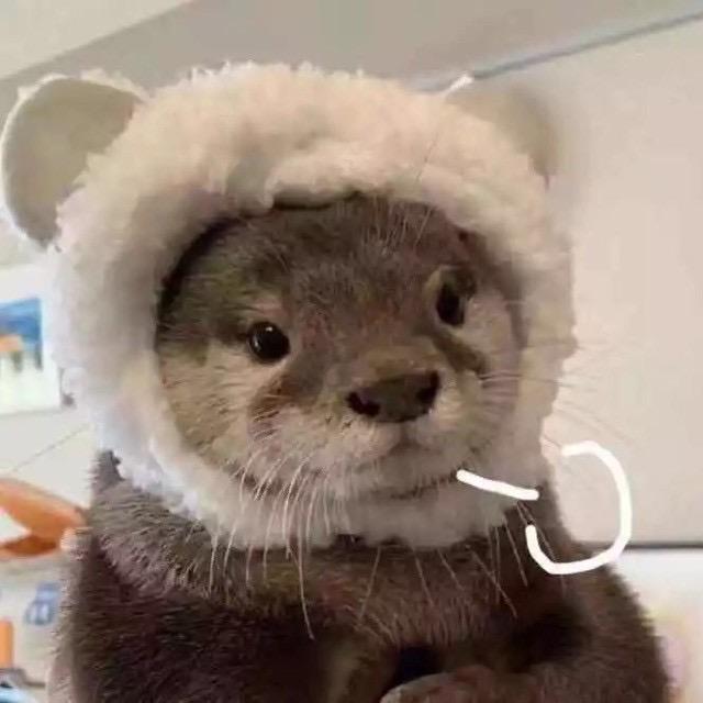 没有的事