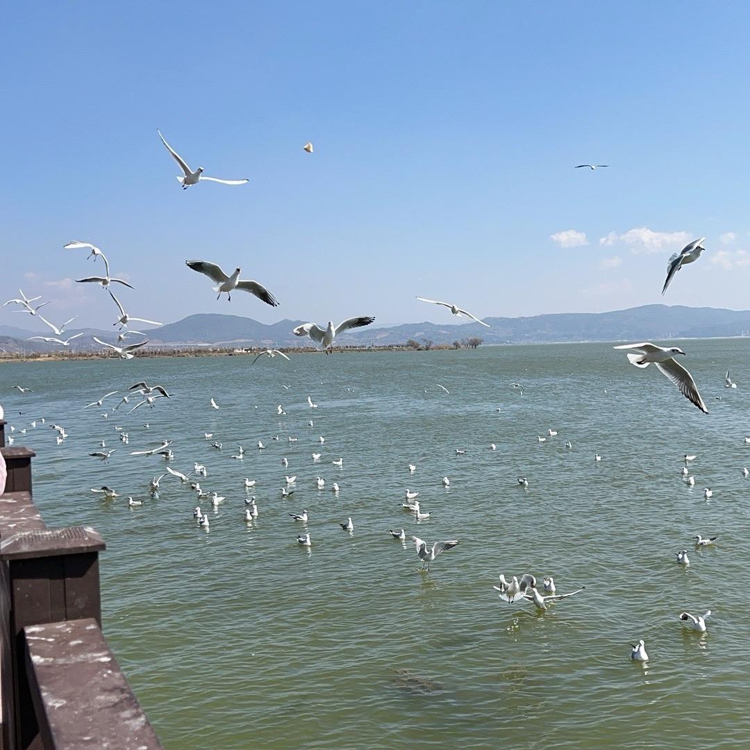 依宝的小窝