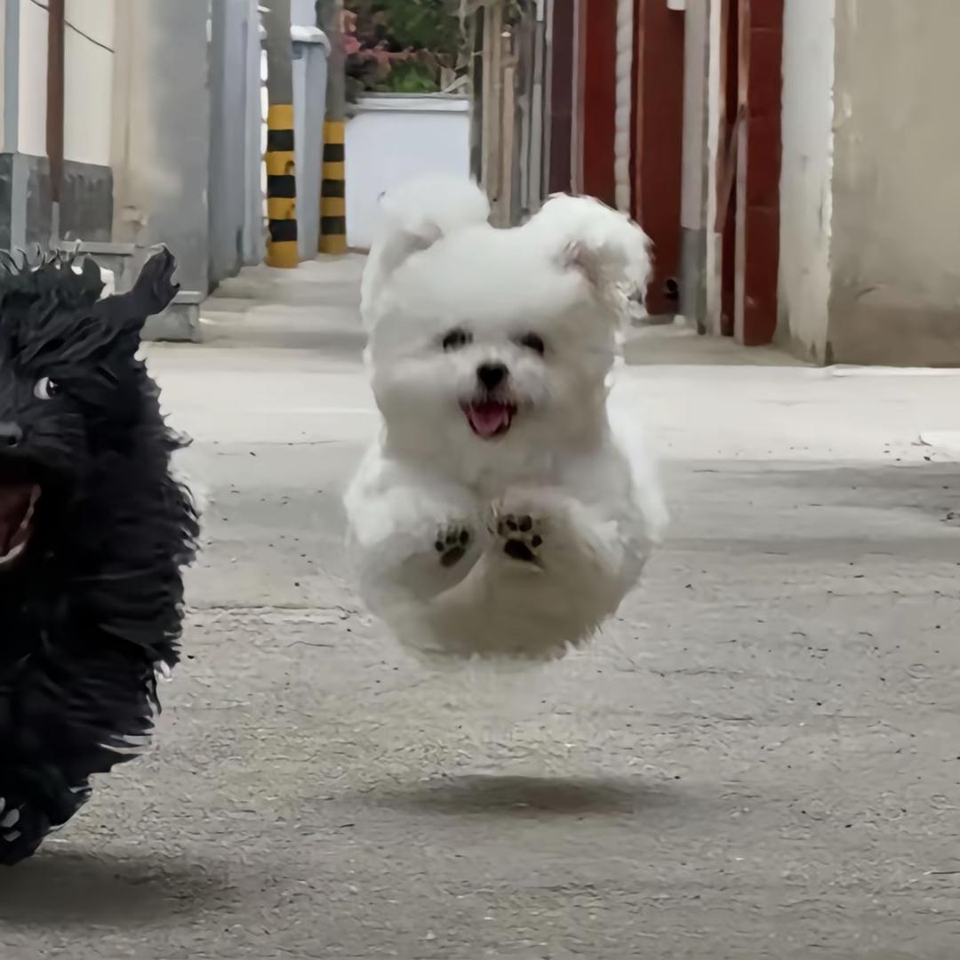 满怀h