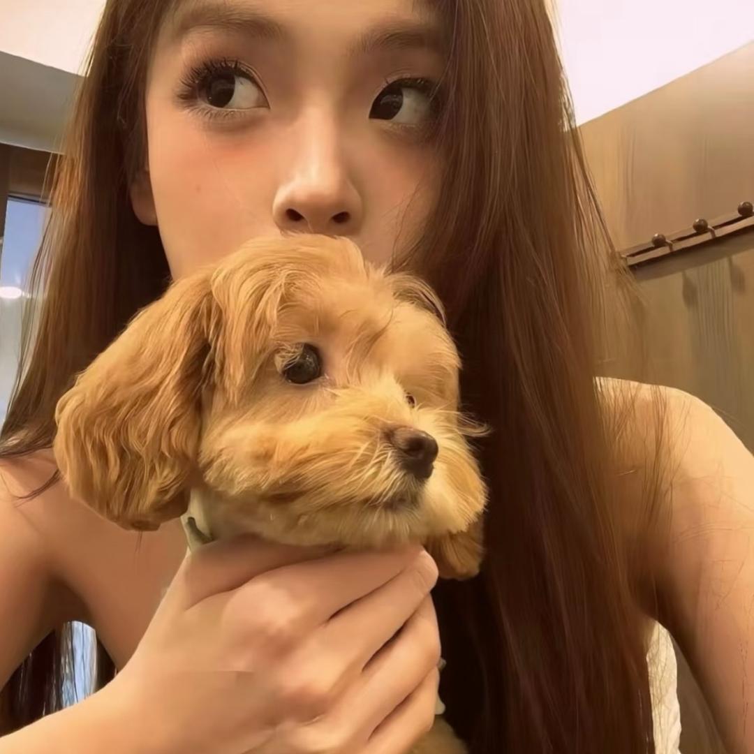 我有空就睡觉Rosie