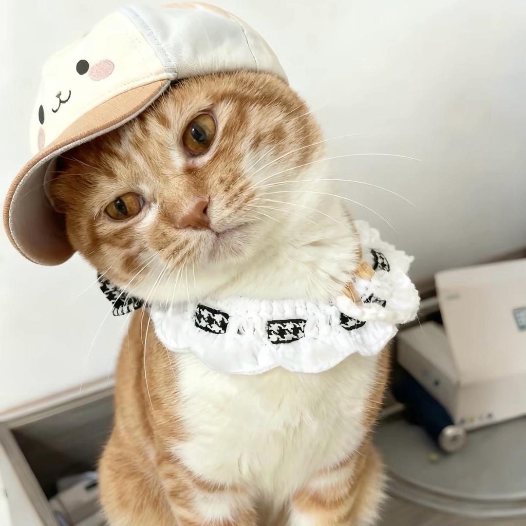 叫我乖乖