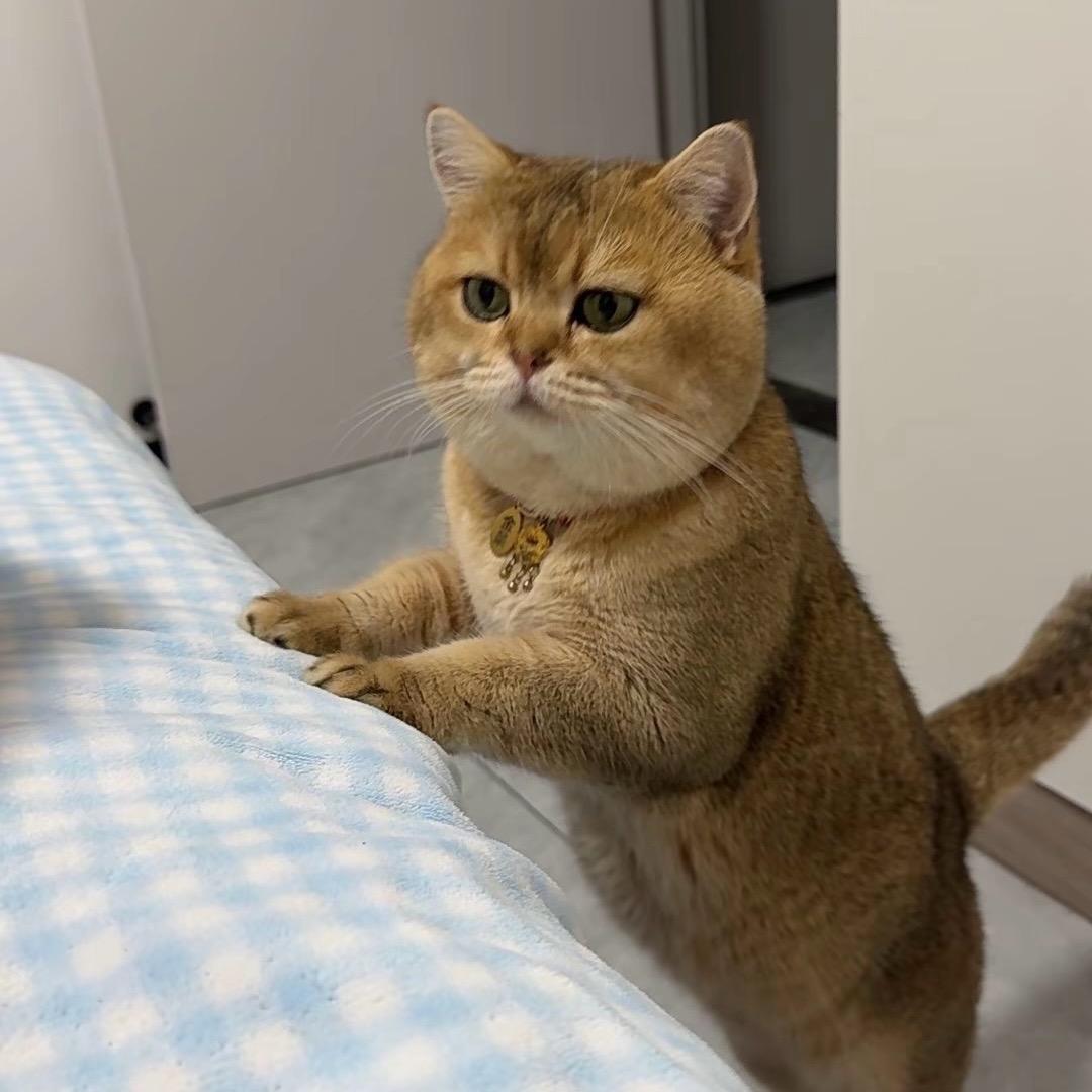 鹰潭墨墨服装店