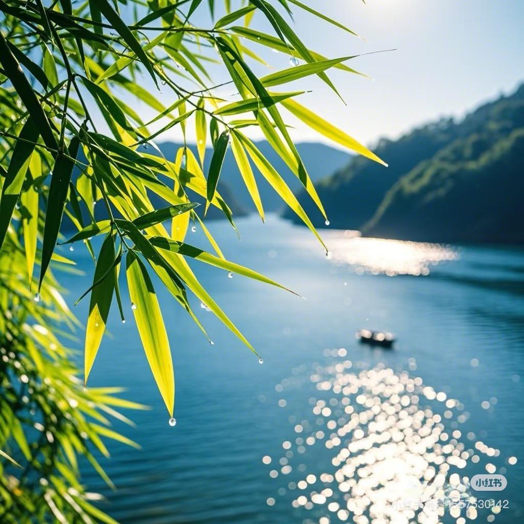 就业思维