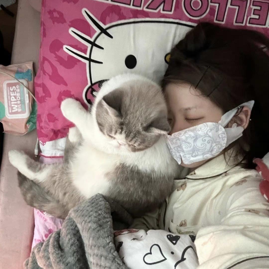 桃子大王.