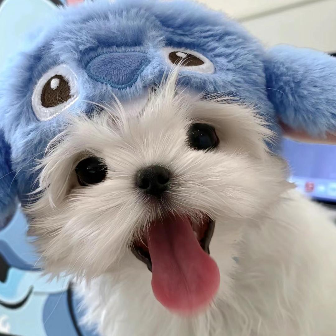 清韵文化传媒
