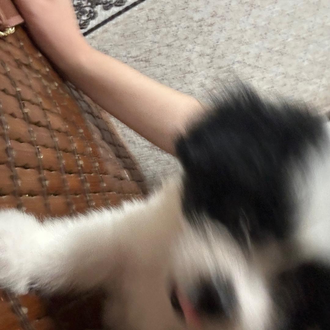宸宇