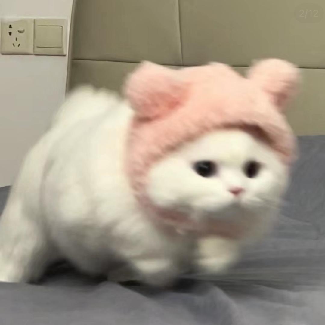 我是桃桃（不打光测评）