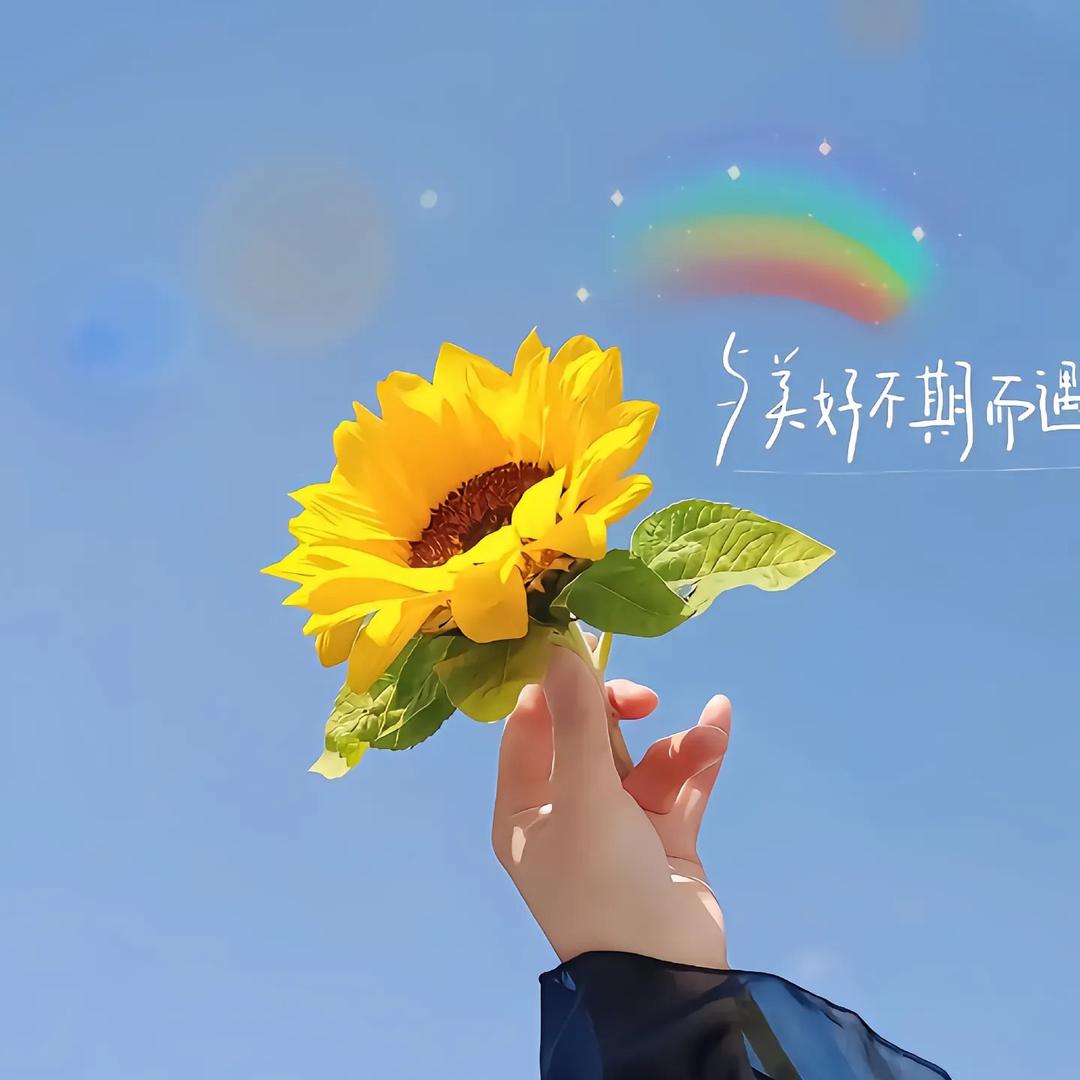 我的朋友圈