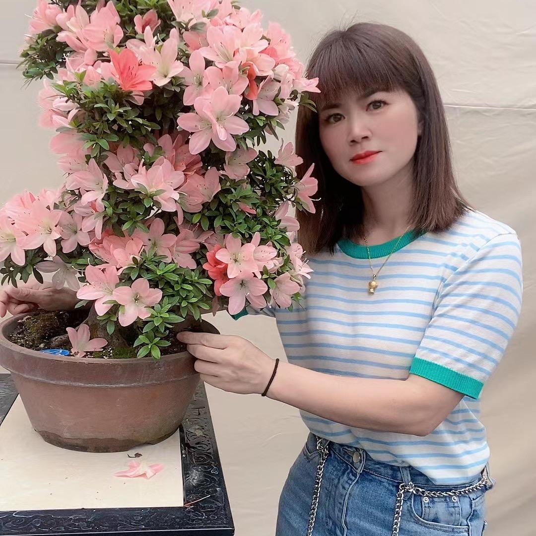 玲儿花木场