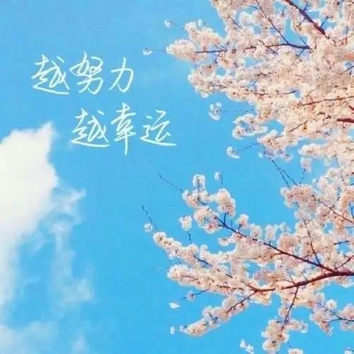 千选品牌推荐