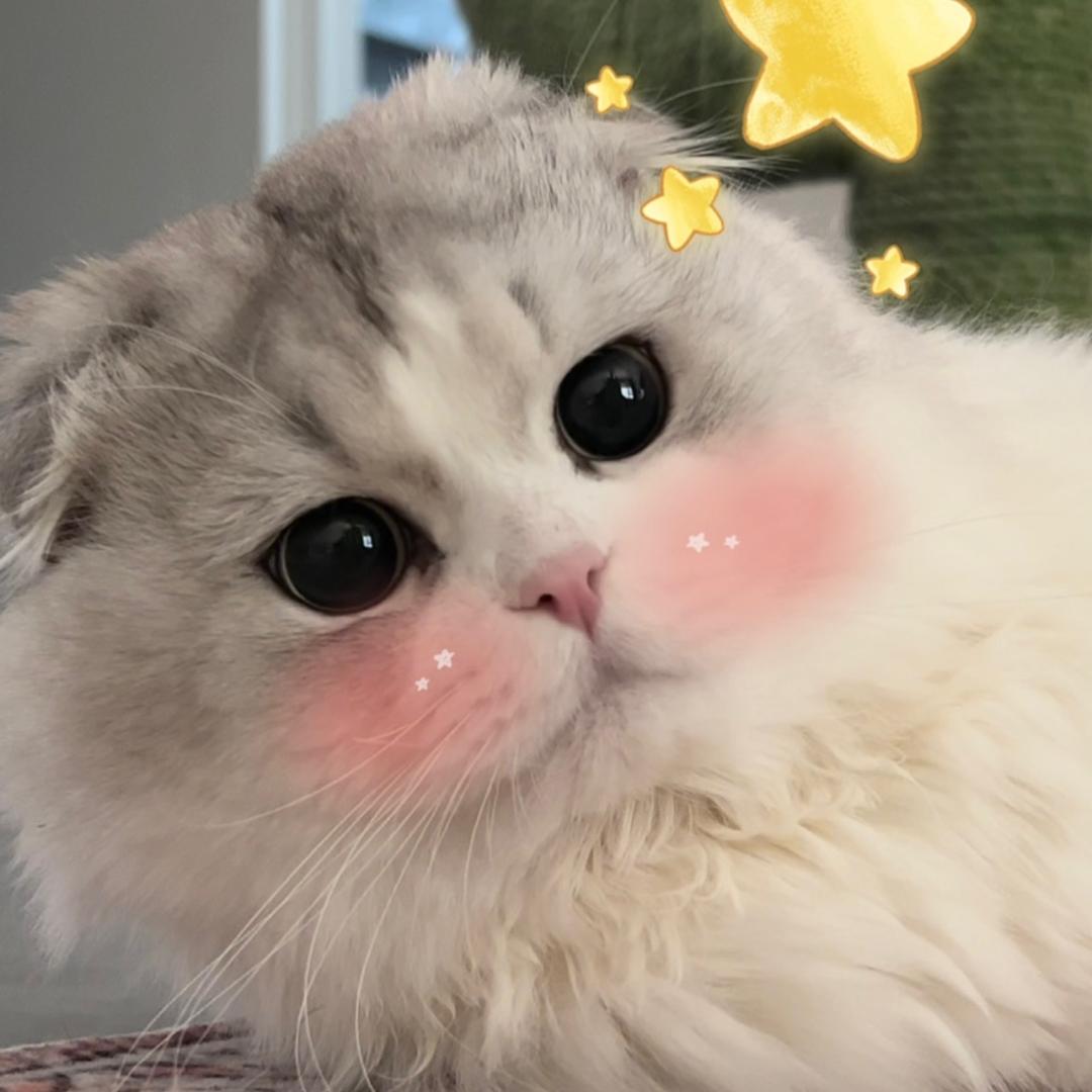 虾仁摘个星星吗@抖音