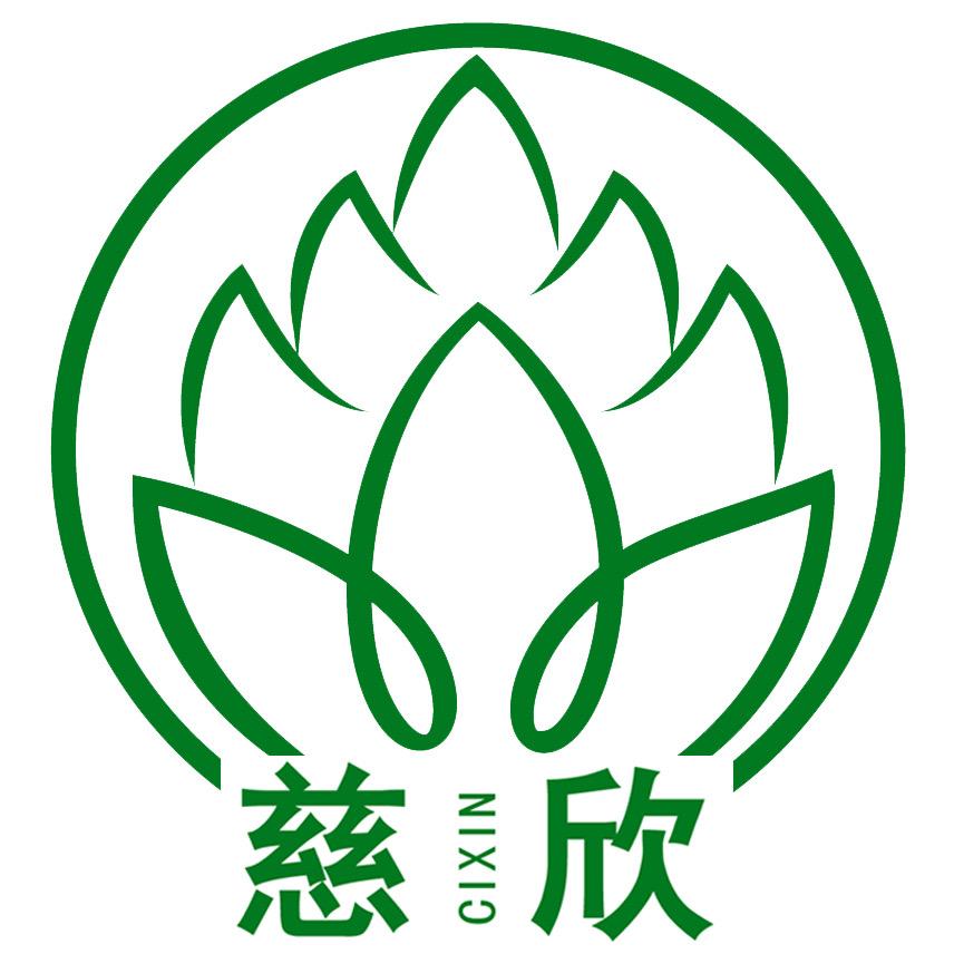 慈欣花卉富贵竹