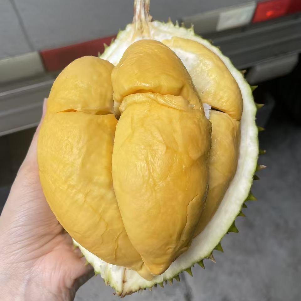 百厘挑一(南宁仓)两广