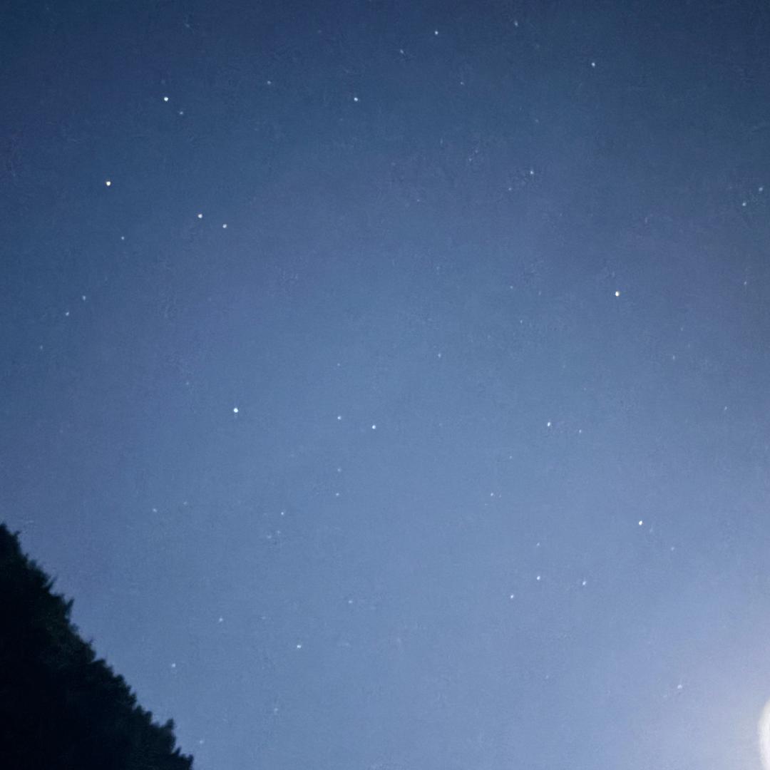 引人注意的名字