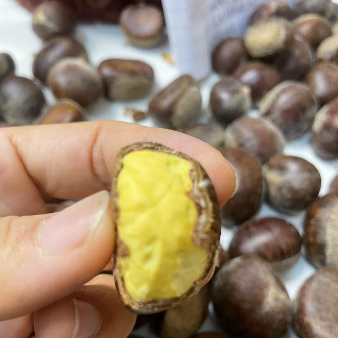 日照露天蓝莓