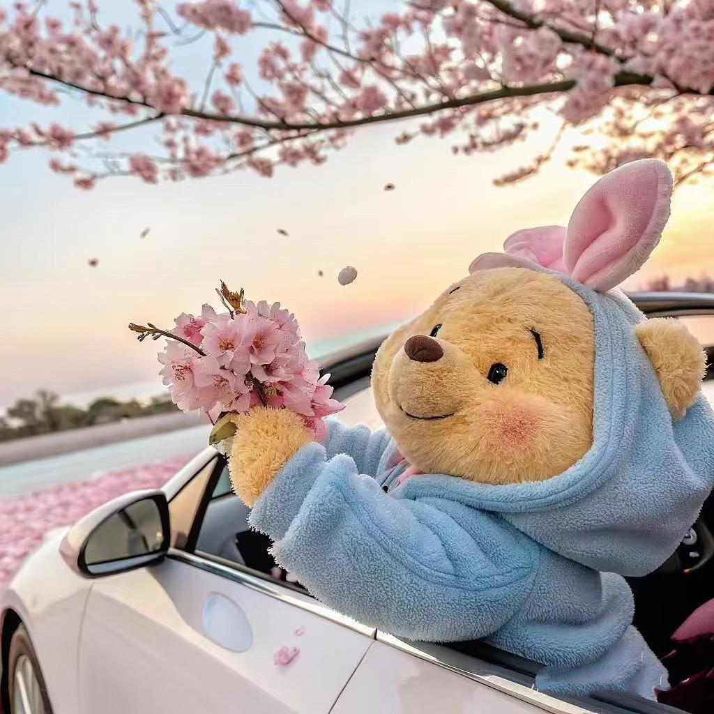 ✨初見