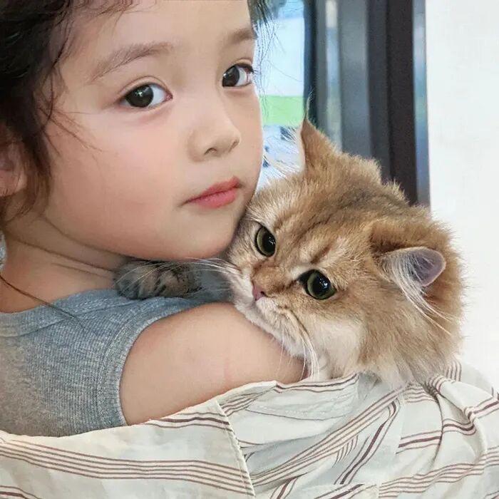 1只羊
