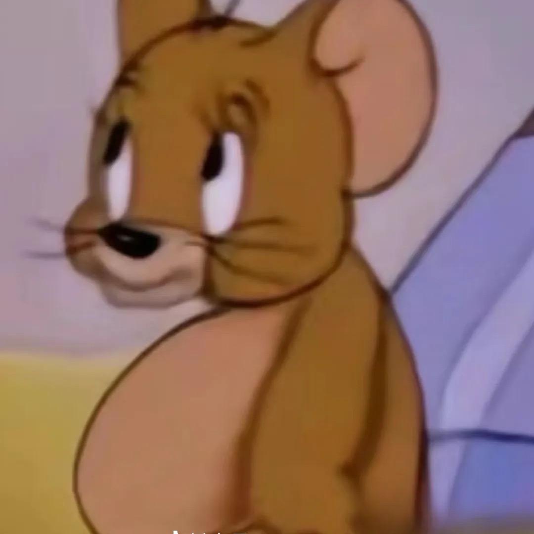 杰瑞🐭…