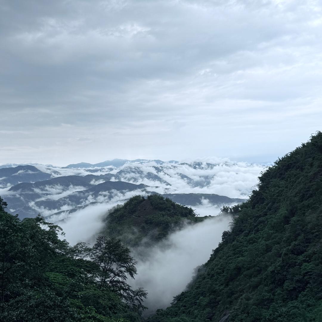 @糊涂仙