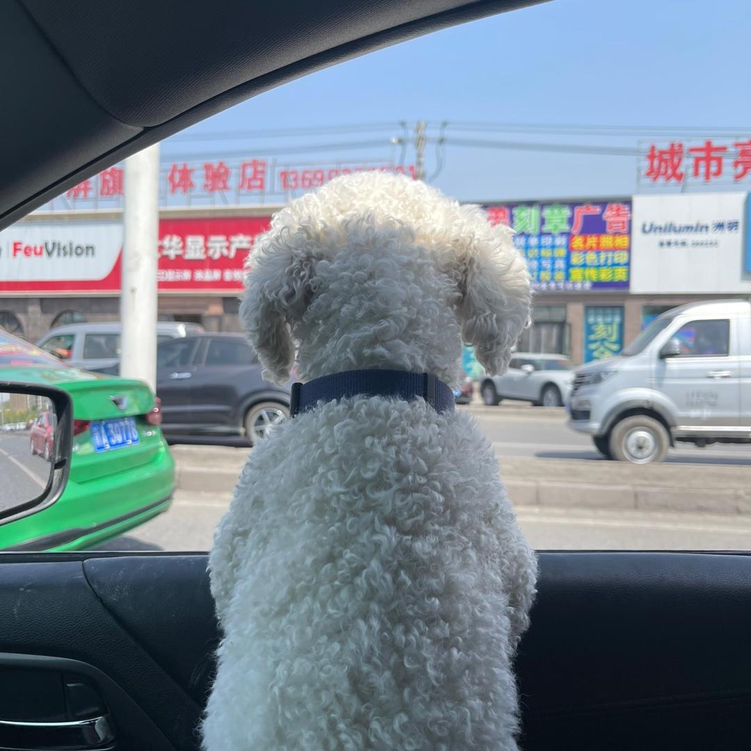 是小不丢
