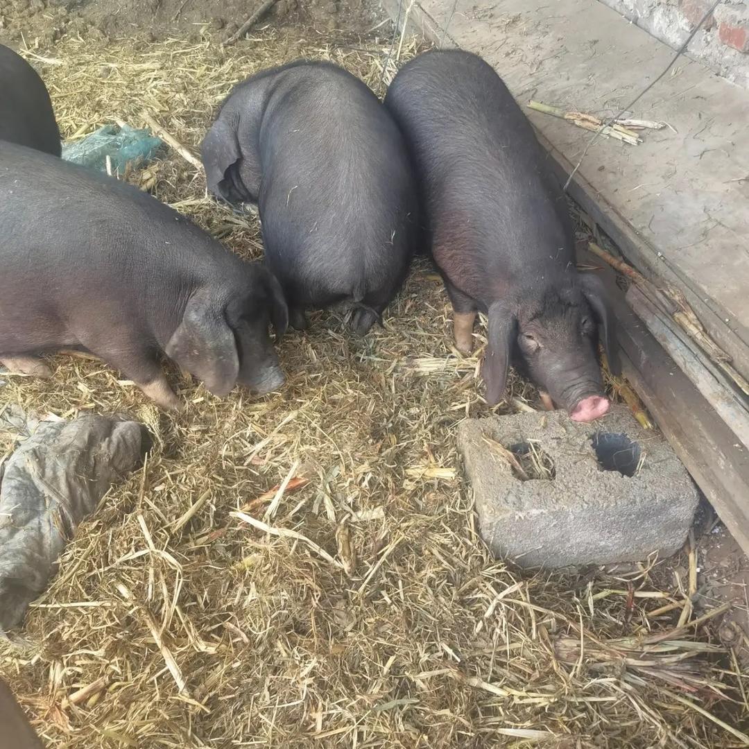 莉姐生鲜美食甄选