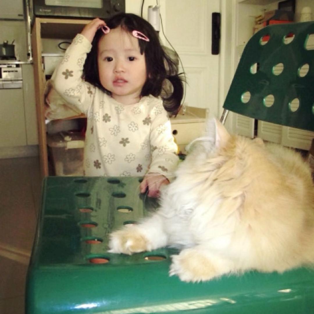 1鹤