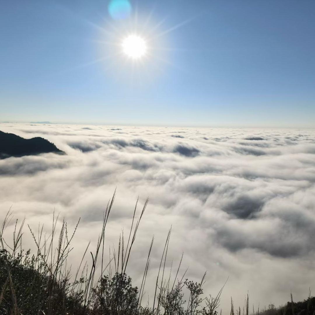 喜欢喝咖啡的我