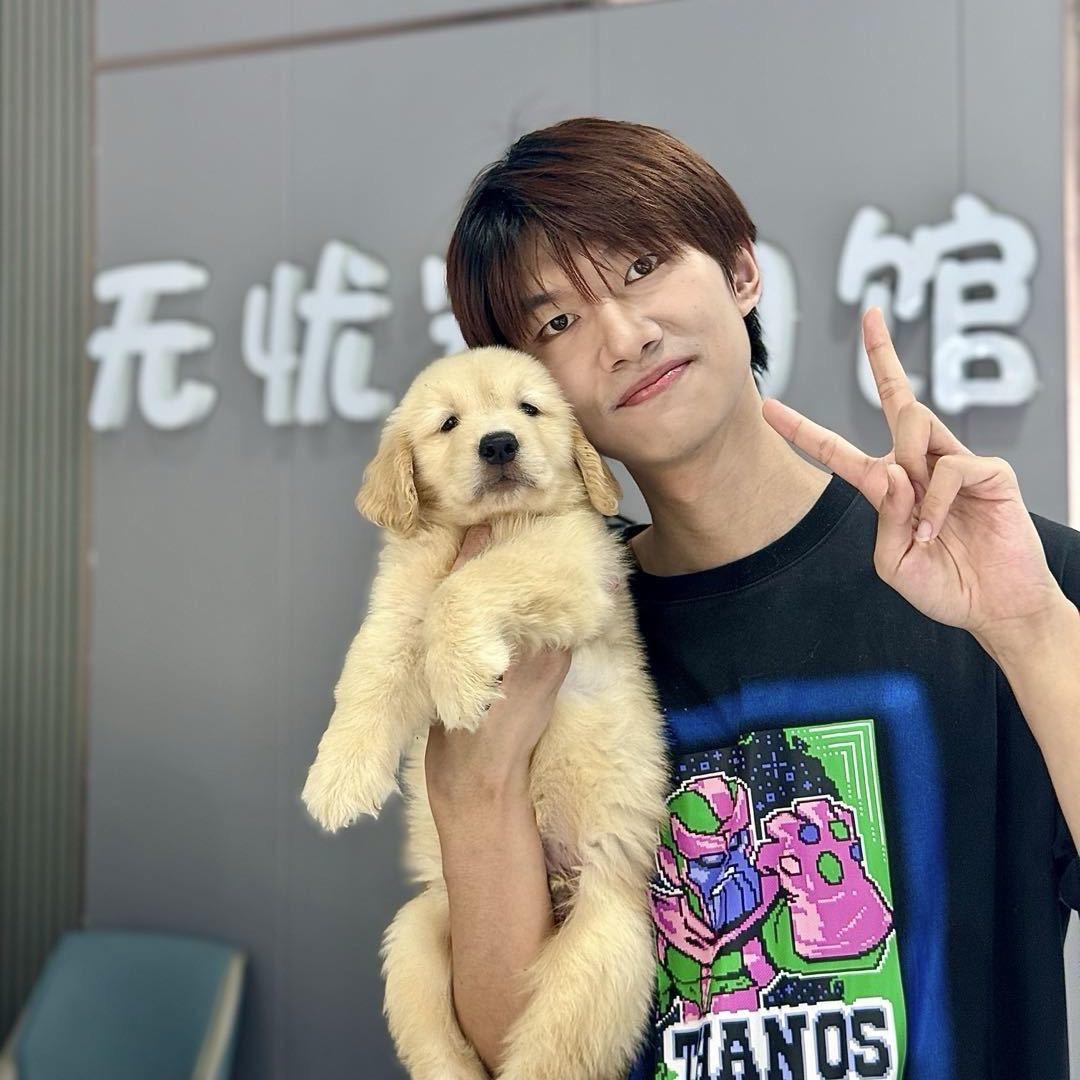 无忧家的汪汪队（连云港）