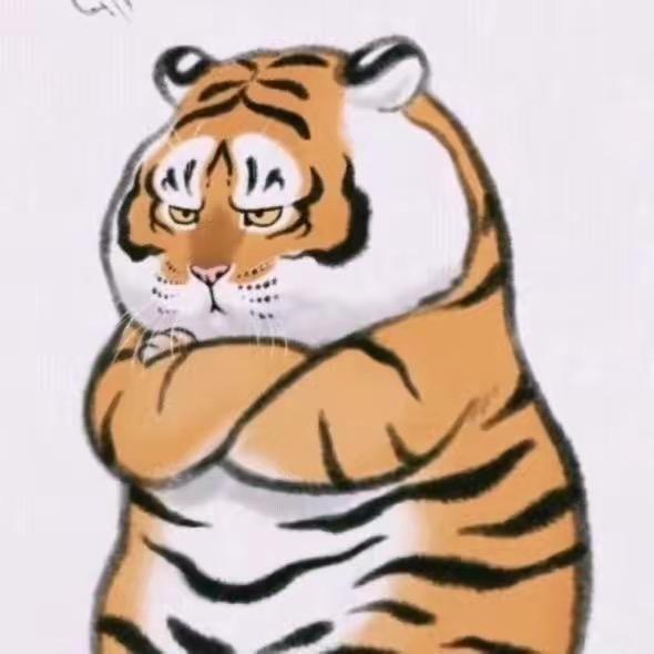 ✨乖乖虎🐯✨✨