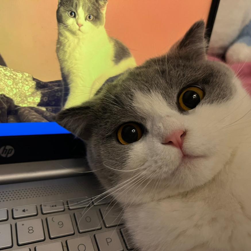 南宝宝
