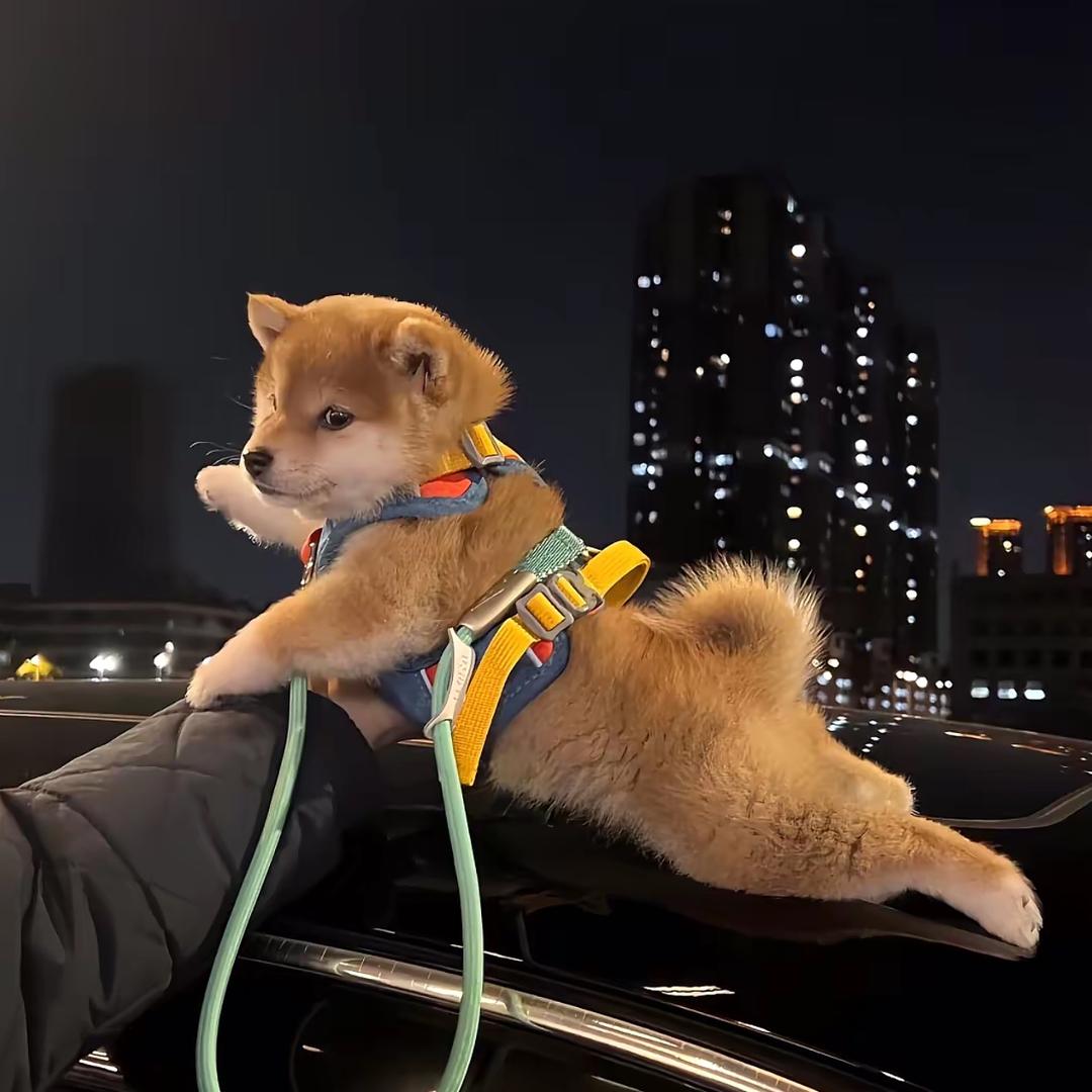 嗯嗯